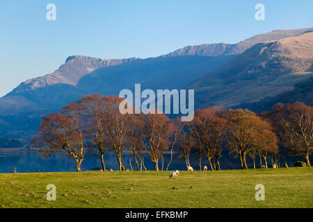 The Nantlle ridge mountains above Llyn Nantlle Uchaf in Snowdonia National Park (Eryri). Nantlle, Gwynedd, North Wales, UK, Britain Stock Photo