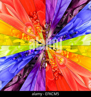 Rainbow Flower Center Symmetric Collage Made from Collection of Various Multi Colored Wildflowers. Parts are Seamlesly Divided i Stock Photo