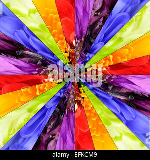 Rainbow Flower Center Symmetric Collage Made from Collection of Various Multi Colored Wildflowers. Parts are Seamlesly Divided i Stock Photo