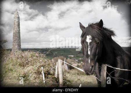 Irish horse and ancient round tower in the beautiful Ardmore countryside of county Waterford Ireland Stock Photo