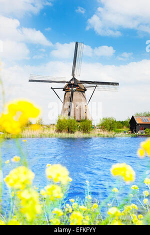 Old windmill in Kinderdijk at spring Stock Photo