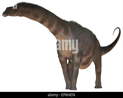 Argentinosaurus was a titanosaur sauropod dinosaur from the Cretaceous ...