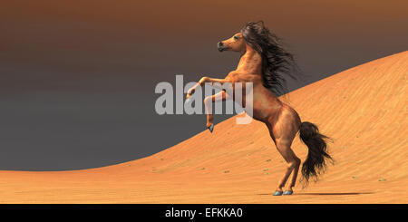 A wild Arabian mare rears up in a desert environment full of red sand dunes. Stock Photo