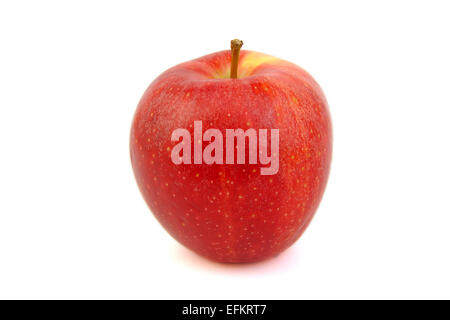 Red Royal Gala apple on white background Stock Photo