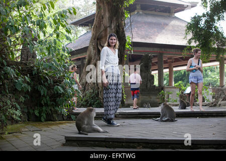 A tourist in the monkey forest in Ubud, Bali, Indonesia Stock Photo