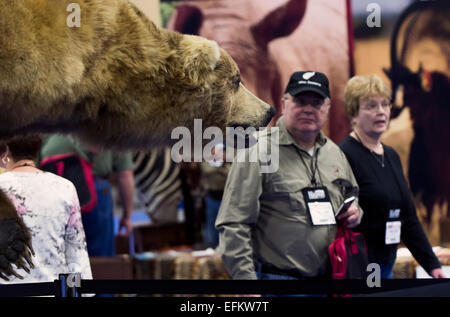 Las Vegas, Nevada, USA. 06th Feb, 2015. A stuffed bear peers out of an exhibit booth during the 43rd Annual Safari Club International Convention. The four-day expo is a marketplace of big game hunting goods, including guns. bow hunting supplies and trophy kill taxidermy displays. © Brian Cahn/ZUMA Wire/Alamy Live News Stock Photo