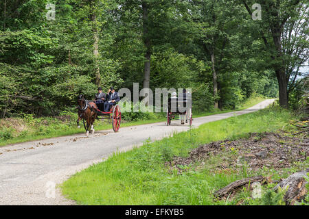 International competition for traditional carriages 'La Venaria Reale',La Mandria regional park,Turin,Piedmont,Italy Stock Photo