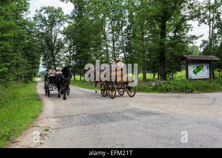 International competition for traditional carriages 'La Venaria Reale',Regional Park La Mandria,Turin,Piedmont,Italy Stock Photo