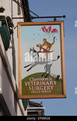 Musicians of Bremen Veterinary Practice Sign showing a rooster standing on cat standing on a dog standing on a donkey, Clarendon Street, Cambridge, UK Stock Photo