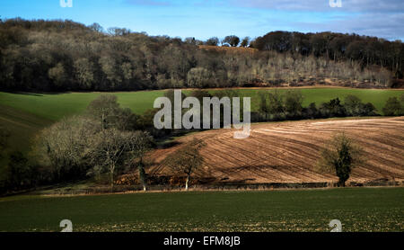 Chiltern Hills landscape near Turville, Buckinghamshire, England, UK ...