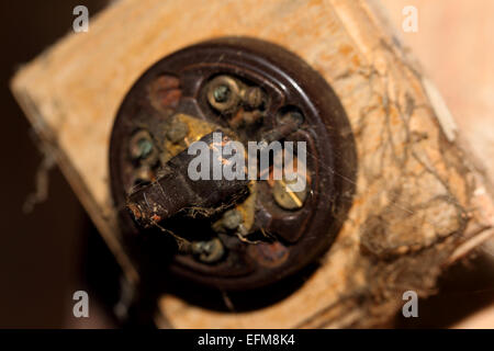 light switch Stock Photo