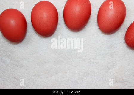 Red colored eggs for the easter holiday on white background. Stock Photo