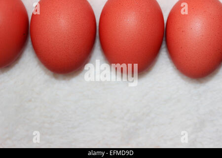 Red colored eggs for the easter holiday on white background. Stock Photo