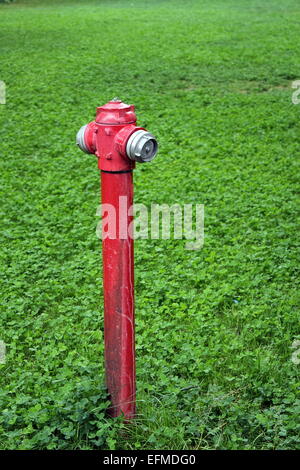 old red dirty hydrant in green lawn Stock Photo