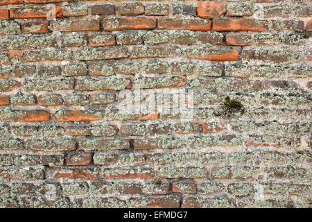 very old brick wall at exterior of ancient fortress Stock Photo