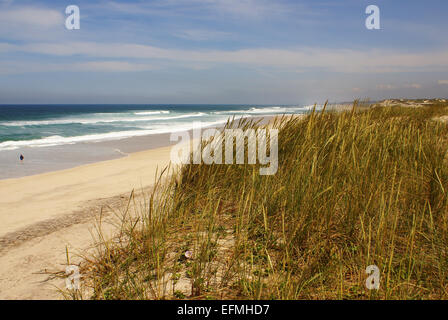 Beach on Atlantic Ocean Coast in near Furadouro, Portugal Stock Photo