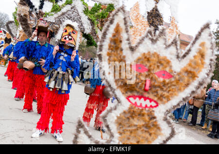 Pernik, Bulgaria - January 31, 2015: Participants are participating in the International Festival of Masquerade Games Surva. The Stock Photo