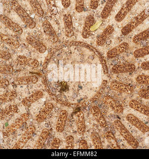 Fragment of an old rusty manhole Stock Photo