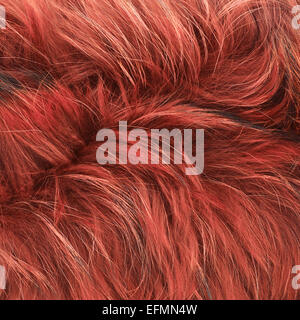 Red fur texture Stock Photo