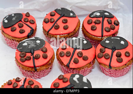 a homemade ladybird cupcake in a cake box Stock Photo