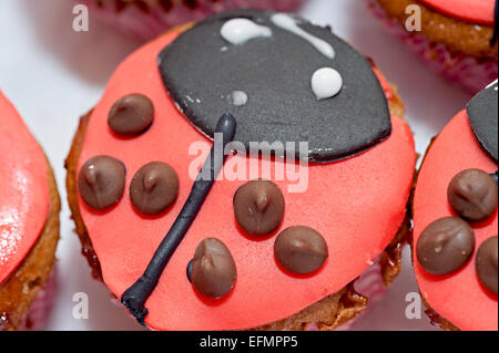 a homemade ladybird cupcake in a cake box Stock Photo