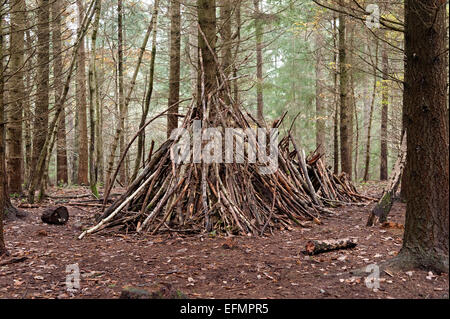 Trees in the wyre forest south with a den hide out house made of wood and fern Stock Photo