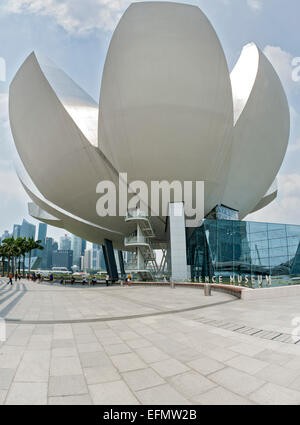 The Art Science Museum in Singapore. Stock Photo
