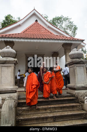 Devotee worship novice monks at sacred bo,bodhi,tree,temple Buddhist,Anuradhapura,Sri Lanka,Asia. Stock Photo