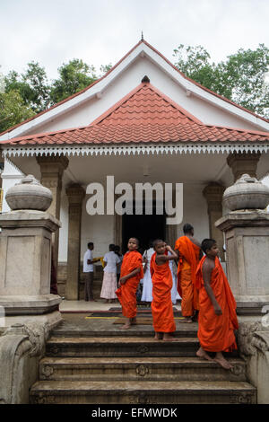 Devotee worship novice monks at sacred bo,bodhi,tree,temple Buddhist,Anuradhapura,Sri Lanka,Asia. Stock Photo