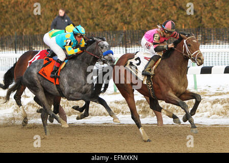 Jamaica, New York, USA. 7th Feb, 2015. February 7, 2015: Far From Over with Manuel Franco wins the 135th running of the Grade III Withers Stakes for 3-year olds, going 1 1/16 mile at Aqueduct Racetrack. Trainer: Todd Pletcher. Owner: Black Rock Thoroughbreds, LLC. Sue Kawczynski/ESW/CSM/Alamy Live News Stock Photo