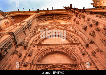 Stone Doorway Facade New Salamanca Cathedral Spain. Stock Photo