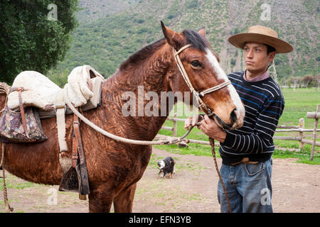 Chilean cowboy adjusts the reins on his horse on a ranch in El Toyo region of Cajon del Maipo, Chile, South America Stock Photo