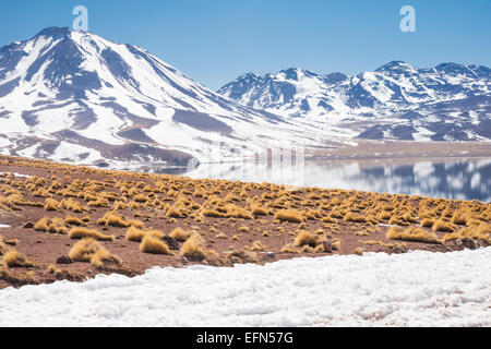 Miniques Volcano and lagoon in San Pedro de Atacama desert, Chile, South America Stock Photo