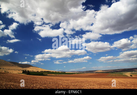 A brown-yellow field beneath deep blue sky with white clouds. Stock Photo