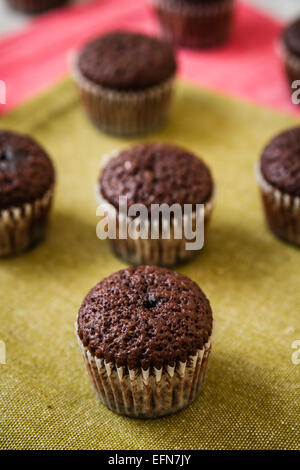 Mini chocolate brownie cupcakes on colorful background Stock Photo