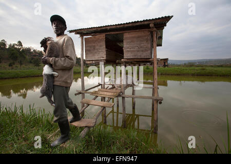 Rwandan farmers show off domestic rabbits outside their hutches which ...