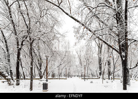 Public Park During Heavy Snowfall In Winter In Bucharest City, Romania. Stock Photo
