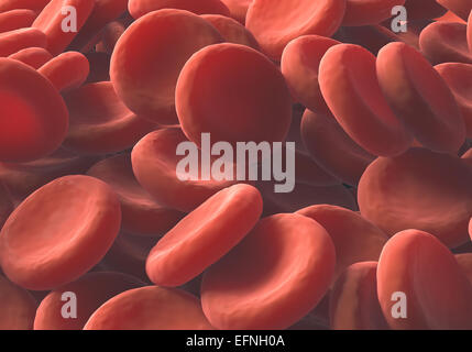 Red blood cells clusters one over the other. Stock Photo
