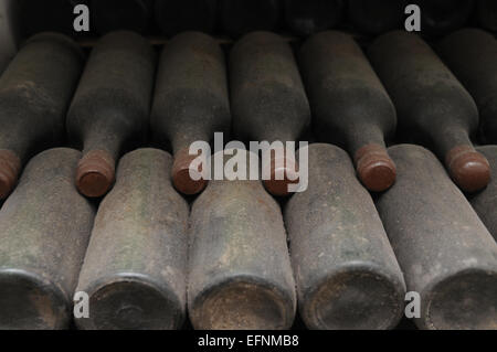 Old wine bottles covered with dust are stored at  the wine cellar. Stock Photo