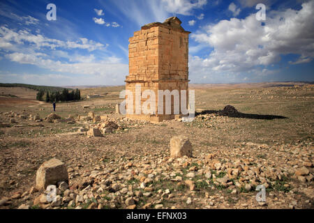 Ruins of ancient city of Madauros, M'Daourouch, Souk Ahras Province, Algeria Stock Photo