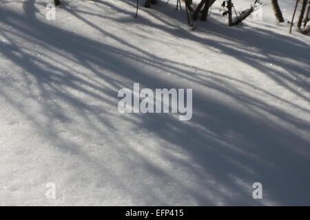 A SHADOW OF LIGHT CASTING ON THE SNOW.SHADOWS IN WINTER SNOW. Stock Photo