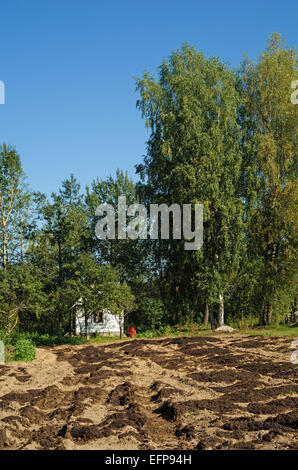 Village landscape. Manure is filled on the ploughed earth near the house. Stock Photo