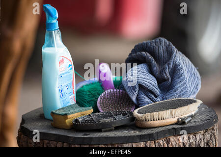 Grooming tools for horse Germany Stock Photo