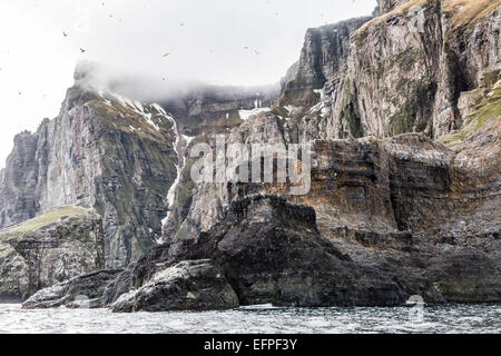 Steep cliffs filled with nesting birds on the south side of Bjornoya (Bear Island), Svalbard, Norway, Scandinavia, Europe Stock Photo