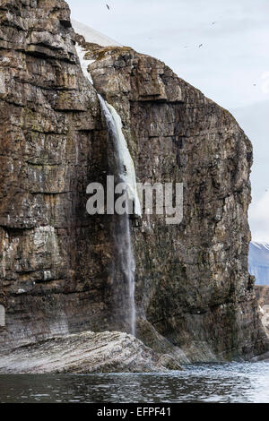 Steep cliffs filled with nesting birds on the south side of Bjornoya (Bear Island), Svalbard, Norway, Scandinavia, Europe Stock Photo