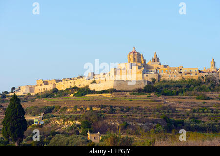 Stone walled city and St. Paul's Cathedral, Mdina, Malta, Mediterranean, Europe Stock Photo