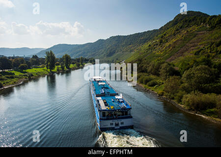 Cruise ship on the Moselle River passing Beilstein, Moselle Valley, Rhineland-Palatinate, Germany, Europe Stock Photo