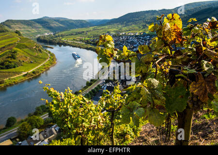 Cruise ship at the Moselle River bend at Bremm seen through the vineyards, Moselle Valley, Rhineland-Palatinate, Germany, Europe Stock Photo