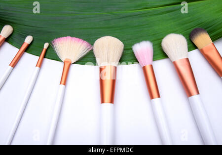 Makeup Brushes on green leaf Stock Photo