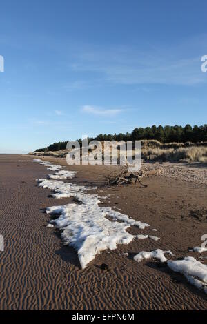 Snow at high water mark Tentsmuir forest Fife Scotland  February 2015 Stock Photo